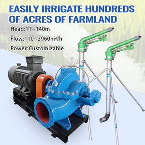 Pompes centrifuges horizontales à aspiration axiale Industria 45 CV pour l'irrigation, modèle 200S42 - Product Image 2