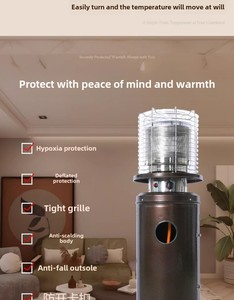 Stufa a <span class=keywords><strong>Gas</strong></span> da Esterno FL003 per Villa, Hotel, Patio, Braciere, Cortile e Guesthouse - Stufa in Acciaio Inox con Fiamma Reale e Acrilico - Product Image 6