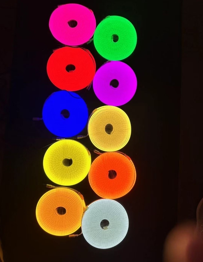 Neon Flex Strip Light · image 4