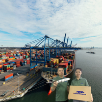 Ücretsiz kalite kontrol Shenzheng HongKong uçuş iletici SeaCargo navlun ajan SeaShipping çin abd'ye gemi