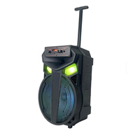 Haut-parleur passif de 12 pouces pour home cinéma, 5.0 20W sans fil, avec télécommande LED RGB, karaoké, prise en charge de 2 micros