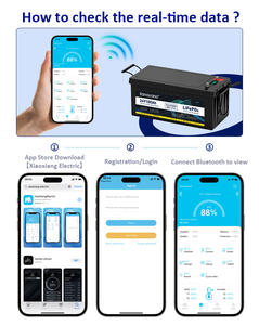 Venta Directa de Fábrica, Batería Marina de Ciclo Profundo de 24v 100ah, Paquete de Baterías Lifepo4 de 24v 100ah con Control por Aplicación - Product Image 2