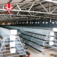 Cage d'élevage de type A, galvanisée, avec système d'alimentation automatique pour l'élevage commercial de volailles, équipement d'élevage de poussins pondeurs