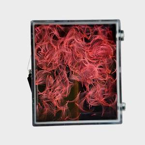 Extensions de cils synthétiques Nhu Y NY7D, volume complet, pré-fabriquées, faites à la main au Vietnam, douces et lisses, application facile avec colle, pour usage en salon de beauté - Product Image 5