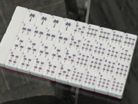 Jeu de Mahjong Américain Personnalisé OEM en Acrylique Rose et Vert, 166 Tuiles, Motif Joker Plage Estivale Dessin Animé, Vente en Gros pour Collectionneurs