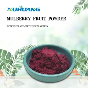 Fuente de la fábrica orgánica Mulberry de extracto de fruta de