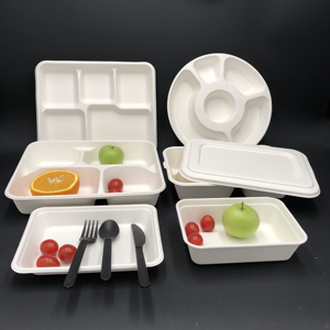Vaisselle écologique Jetable Biodégradable Compostable Bagasse Pâte à Papier Blanc 7.65 "x 5.7'' <span class=keywords><strong>Plateau</strong></span> de Canne à Sucre pour Fruits - Product Image 5