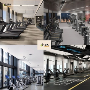 Peralatan <span class=keywords><strong>Gym</strong></span> SK 800sqm Lengkap untuk Bodybuilding, Mesin Latihan Kekuatan dan Kardio Komersial untuk Hotel, Klub, dan Pusat Kebugaran - Product Image 4