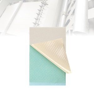 Prezzo di fabbrica naturale a base di erbe comune re.lief patch OEM ODM pain re.lief patch <span class=keywords><strong>per</strong></span> il mal di <span class=keywords><strong>schiena</strong></span> - Product Image 2