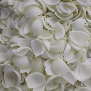 Bán buôn phân phối số lượng lớn cây trồng mới <span class=keywords><strong>iqf</strong></span> hành tây đông lạnh - Product Image 5