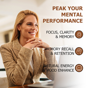 Cápsulas de Complejo de Hongos en Oferta, con Extracto de Hongo Reishi, Energía Natural, Mejora del Estado de Ánimo, Cápsulas para Mejorar la Función Cognitiva - Product Image 4