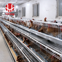 Système de cages en batterie de type A galvanisé à chaud pour poulets pondeuses et cages à poulets pour l'élevage – En vente