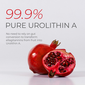 Cápsulas de Ureasa Totalmente Naturales - Suplemento Orgánico de Alta Pureza con Opción de Personalización - Product Image 6