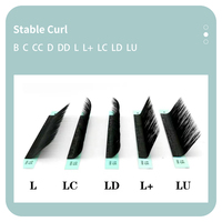DIYDAY Cils en grappe féériques naturels doux, faits à la machine, avec courbure C/D, 100% PBT, écologiques et personnalisables, durables pour salon