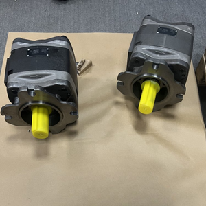 Bomba de Engranajes Internos Hidráulica Serie IPV3 IPV4 IPV5 IPV6 IPV7, Bombas IPV7-160 151 IPV7-250 111, Construcción de Hierro Fundido de Alta Calidad - Product Image 3