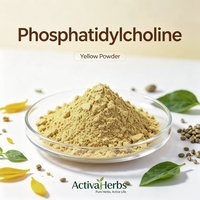 Poudre de Phosphatidylcholine de Haute Pureté 50% 90% 98% Extrait de Lécithine de Soja en Poudre PC pour la Santé Hépatique – Approvisionnement en Vrac