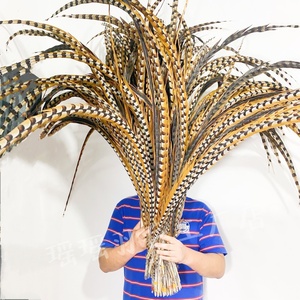 Plumes et queues de faisan Reeves brutes de 28-30 pouces (70-80 cm) pour décoration de carnaval, fêtes de Noël, festivals et mariages - Product Image 2