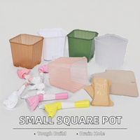 9.8cm 3.85 inci transparan kecil tahan lama persegi plastik pembibitan sukulen Pot bunga kaktus gaya desain tradisional