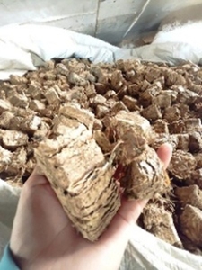 Cubes de paille de riz écologiques : le support ultime sans terre pour la culture de légumes - Product Image 5