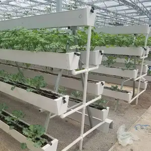 Tubo hidropónico de casa verde para jardín de fresas torre vertical NFT