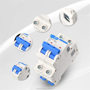 Chint thu nhỏ ngắt mạch công tắc chính nxb Công tắc không khí 32a2p hộ gia đình 63A 100A 125A MCB PA66 Vật liệu phá vỡ 10kA - Product Image 4