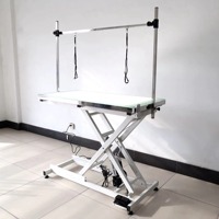 Table de toilettage électrique réglable professionnelle Portable pour grands chats chiens ciseaux en acier inoxydable pliable propre vente à domicile