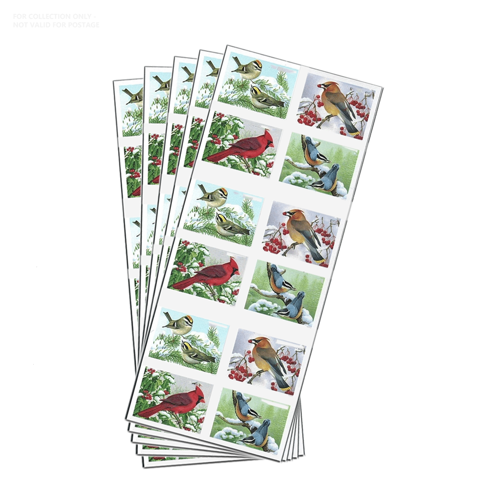 White Y72 2016 Songbirds in Snow