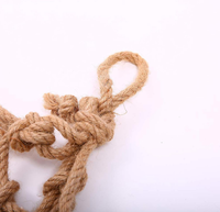 Filet de chanvre en jute Filet de contrôle de l'érosion en rouleau Filet de corde de jute