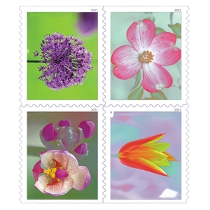 2020 Garden Corsage 2020 Contemporary Boutonniere Us Postage Floral Forever Mail 5 feuilles de 100 timbres autocollants Stock local - Product Image 6