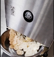 Automatische Fruit- en Groentechips Snijmachine RVS Banaan Plantain Aardappel Gember Chips Snijder met 110V/220V