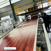 Ligne de Production de feuilles de marbre artificiel PVC HSJZ-80/156 2-6mm Sino-holyson avec Machine de feuille UV de stratification