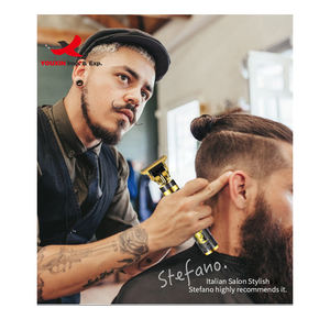 Máquina Cortadora de Barba Profesional de Metal HQ Mixed Proc Discount, Recortadora de Pelo Eléctrica de Lujo Inalámbrica - Product Image 6