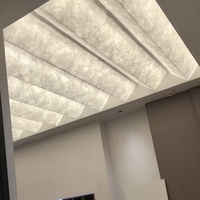 Nouveau design de panneau mural translucide givré en acrylique avec fil de soie
