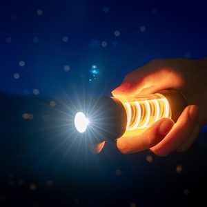 <span class=keywords><strong>2025</strong></span> thiết kế mới cắm trại đèn với đêm Glow cắm trại đèn pin & đèn lồng chiếu sáng với bộ sạc điện thoại - Product Image 5