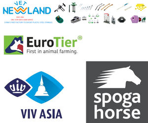 Aiguilles vétérinaires réutilisables à moyeu rond 14G 15G 16G 18G 20G Aiguilles en acier inoxydable pour Luer Lock et Luer Slip Seringues Porcs Clinique - Product Image 6