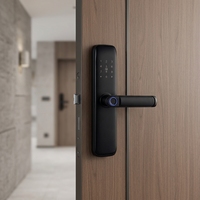 Ensemble de poignées de porte intelligentes avec serrure mécanique et clavier pour appartement, bureau, commerce, système de verrouillage de 25 cm pour porte d'entrée