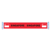RTS Goods – écharpe en Polyester satiné imprimé numérique, coupe de Football, pays, fan de Football, en Stock