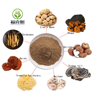 8 in 1 bubuk jamur surai singa, Reishi, Cordyceps, Chaga, Shiitake, Maitake, ekor Turki, bubuk ekstrak Jamur organik - Product Image 1