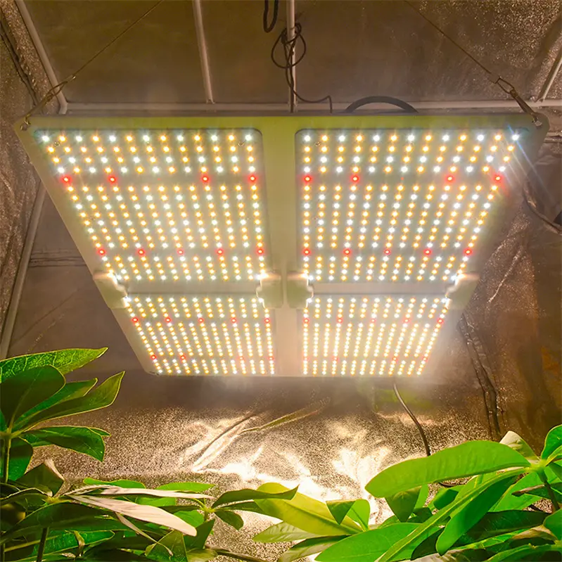 Luz LED personalizada para cultivo de plantas, lâmpada de crescimento com chip Samsung de 100w, luz LED de espectro completo UV IR para cultivo de plantas em ambientes internos