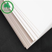 Papier offset sans bois de haute qualité 80gsm 120gsm 140gsm à haute blancheur pour l'impression de manuels scolaires, marché colombien