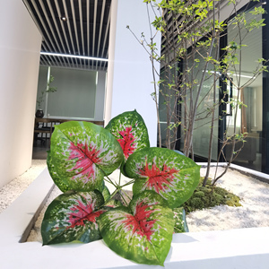YD8735 Caladium หลอดไฟพืชเทียมตกแต่งบ้านขายส่ง<span class=keywords><strong>ราคา</strong></span>ถูกพืชในร่มสำหรับขาย - Product Image 5