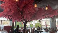 Arbre de cerisier artificiel Sakura pour la décoration de restaurant et de mariage, expédié de l'usine dans les trois jours