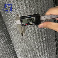 Grillage hexagonal galvanisé en gros, plusieurs tailles, grillage à poules pour clôture de sécurité de ferme, jardin, rouleau de filet