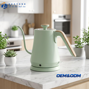 Hervidor Eléctrico de Acero Inoxidable con Diseño de Cuello de Cisne, Color Verde Claro, 1.0L, con Asa de Imitación Madera, para Verter Café - Product Image 1