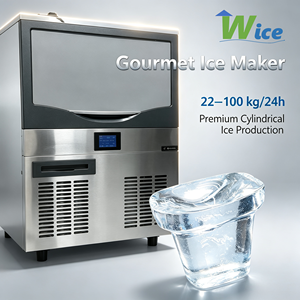 Machine à glaçons gourmet 55 kg, machine à glaçons en cubes, machine à fabriquer des glaçons en cubes, machine à glaçons WICE - Product Image 1