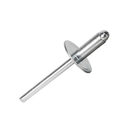 DIN personnalisé sans nickel grande bride plate tête ronde extrémité ouverte rivet pop rivet corps en acier mandrin rivets aveugles