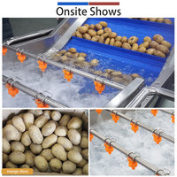 Geoptimaliseerde luchtbel fruit- en groentewasoplossing 1-3t/u industriële salade mango groentewasser met sproeispoeling