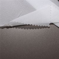 Entoilage/Entretela de revêtement de PA de haute qualité fusible tissé tricoté par chaîne en polyester réutilisable pour européen