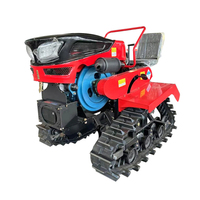 Mini-rupsbandtractor met voorblad, 25PK/35PK, rotorkopeg voor landnivellering en grondbewerking op landbouwgrond