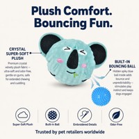 Jouet pour chien sans rembourrage, son couineur, peluche douce, jouet à mâcher pour chiots de petite, moyenne et grande taille, pour jouer en intérieur